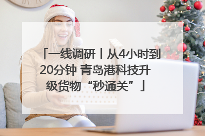 一线调研丨从4小时到20分钟 青岛港科技升级货物“秒通关”