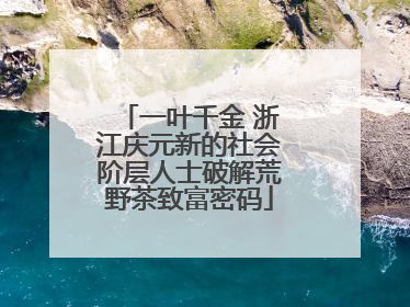 一叶千金 浙江庆元新的社会阶层人士破解荒野茶致富密码