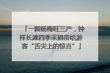 一颗杨梅旺三产，钟祥长滩四季采摘带给游客“舌尖上的惊喜”