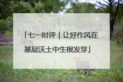 七一时评｜让好作风在基层沃土中生根发芽