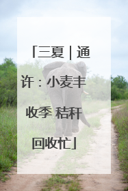 三夏｜通许：小麦丰收季 秸秆回收忙
