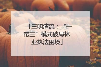 三明清流：“一带三”模式破局林业执法困境