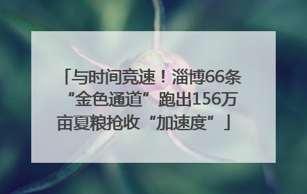 与时间竞速！淄博66条“金色通道”跑出156万亩夏粮抢收“加速度”