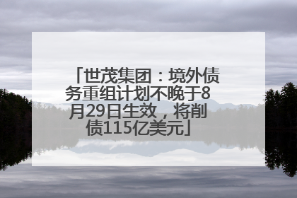 世茂集团：境外债务重组计划不晚于8月29日生效，将削债115亿美元