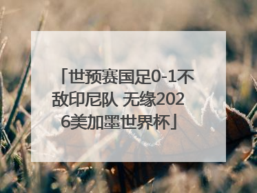 世预赛国足0-1不敌印尼队 无缘2026美加墨世界杯