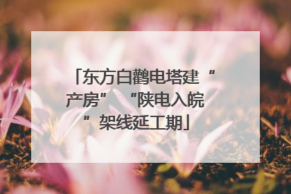 东方白鹳电塔建“产房” “陕电入皖”架线延工期