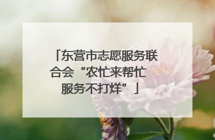 东营市志愿服务联合会“农忙来帮忙 服务不打烊”