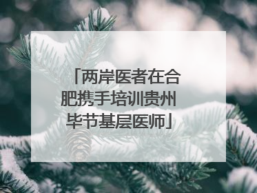 两岸医者在合肥携手培训贵州毕节基层医师