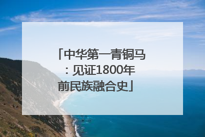 中华第一青铜马：见证1800年前民族融合史