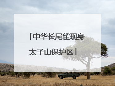 中华长尾雀现身太子山保护区