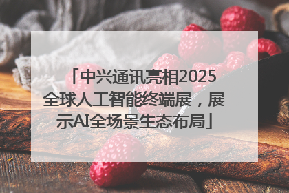 中兴通讯亮相2025全球人工智能终端展，展示AI全场景生态布局