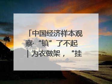 中国经济样本观察·“镇”了不起｜为衣做架，“挂”出来的80亿元“衣架产业”