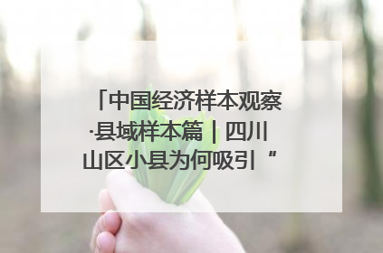 中国经济样本观察·县域样本篇｜四川山区小县为何吸引“村播”扎堆？