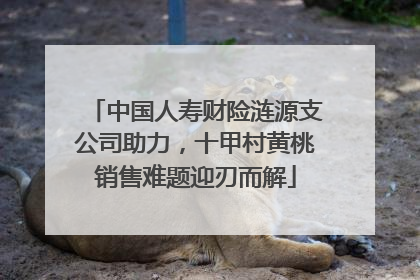 中国人寿财险涟源支公司助力，十甲村黄桃销售难题迎刃而解