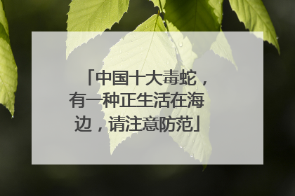 中国十大毒蛇，有一种正生活在海边，请注意防范