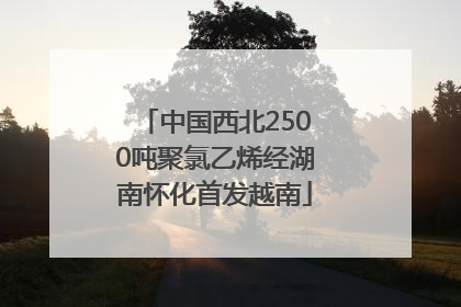 中国西北2500吨聚氯乙烯经湖南怀化首发越南