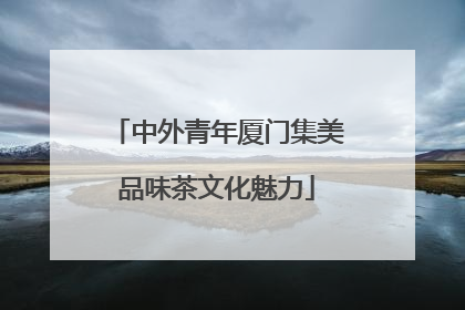 中外青年厦门集美品味茶文化魅力