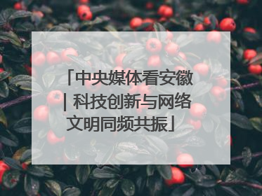中央媒体看安徽｜科技创新与网络文明同频共振