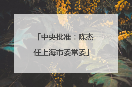 中央批准：陈杰任上海市委常委