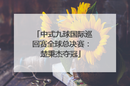 中式九球国际巡回赛全球总决赛：楚秉杰夺冠