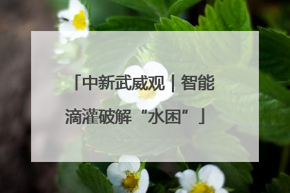 中新武威观｜智能滴灌破解“水困”