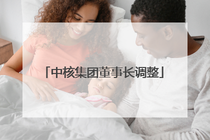 中核集团董事长调整