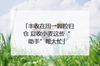 丰收在田→颗粒归仓 夏收小麦这些“助手”帮大忙