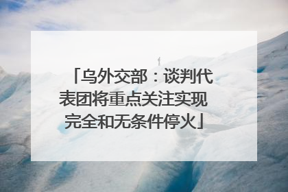 乌外交部：谈判代表团将重点关注实现完全和无条件停火