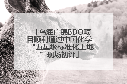 乌海广锦BDO项目顺利通过中国化学“五星级标准化工地”现场初评