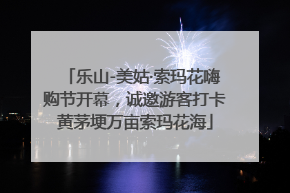 乐山-美姑·索玛花嗨购节开幕，诚邀游客打卡黄茅埂万亩索玛花海
