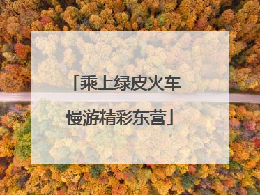乘上绿皮火车 慢游精彩东营