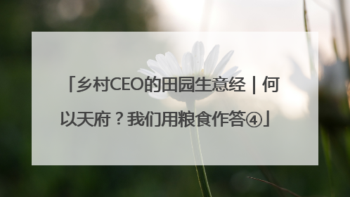 乡村CEO的田园生意经｜何以天府？我们用粮食作答④