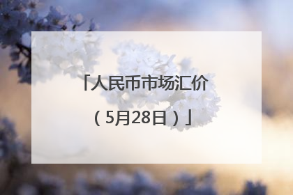 人民币市场汇价（5月28日）