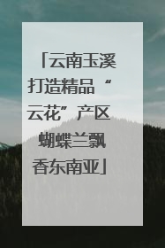 云南玉溪打造精品“云花”产区 蝴蝶兰飘香东南亚
