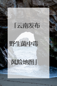 云南发布野生菌中毒风险地图