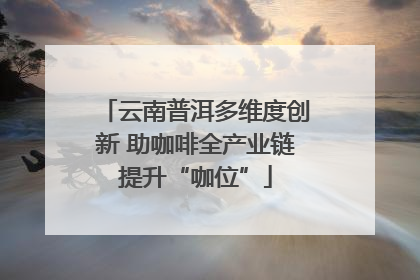 云南普洱多维度创新 助咖啡全产业链提升“咖位”