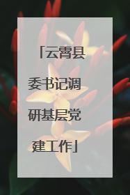 云霄县委书记调研基层党建工作