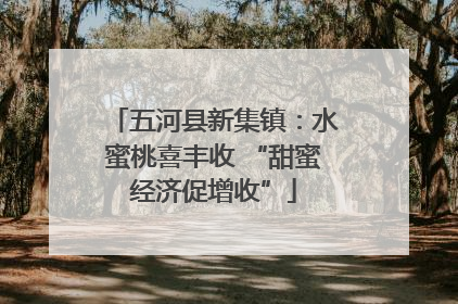 五河县新集镇：水蜜桃喜丰收 “甜蜜经济促增收”