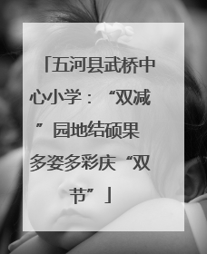 五河县武桥中心小学：“双减”园地结硕果 多姿多彩庆“双节”