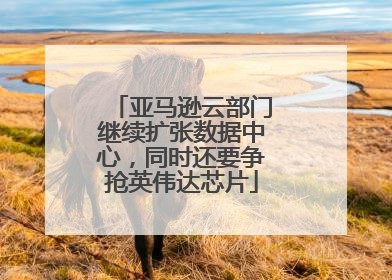 亚马逊云部门继续扩张数据中心，同时还要争抢英伟达芯片