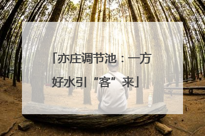 亦庄调节池：一方好水引“客”来