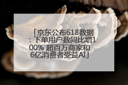 京东公布618数据：下单用户数同比增100% 超百万商家和6亿消费者受益AI