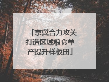 京冀合力攻关打造区域粮食单产提升样板田