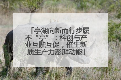 亭湖向新而行步履不“亭”：科创与产业互融互促，催生新质生产力澎湃动能
