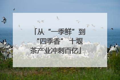 从“一季鲜”到“四季香” 十堰茶产业冲刺百亿