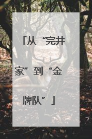 从“完井家”到“金牌队”