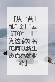 从“黄土地”到“云订单” 上海这家知名电商以新生态点亮就业路