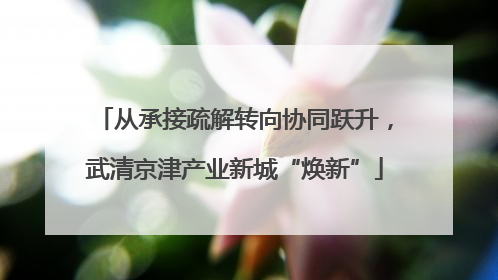 从承接疏解转向协同跃升，武清京津产业新城“焕新”