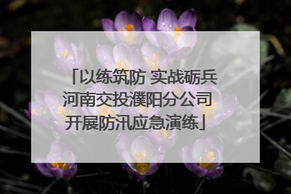 以练筑防 实战砺兵 河南交投濮阳分公司开展防汛应急演练