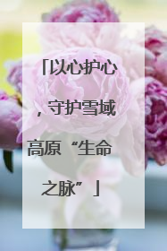 以心护心，守护雪域高原“生命之脉”